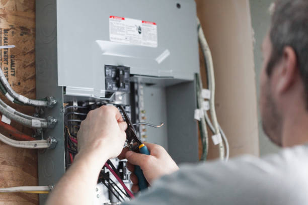 Best Electrical Panel Upgrades  in Woodstock, IL